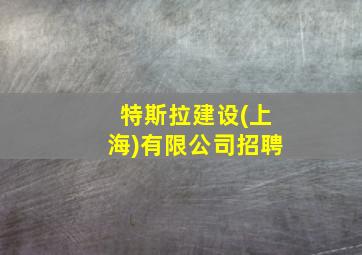 特斯拉建设(上海)有限公司招聘