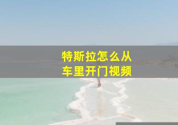 特斯拉怎么从车里开门视频