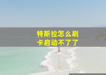 特斯拉怎么刷卡启动不了了