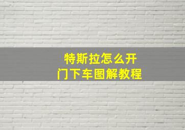 特斯拉怎么开门下车图解教程