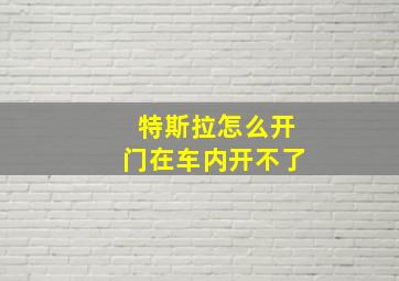 特斯拉怎么开门在车内开不了