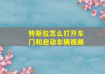 特斯拉怎么打开车门和启动车辆视频