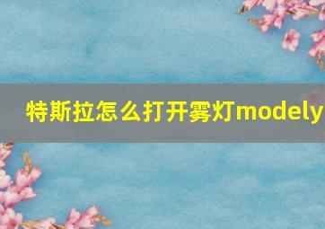 特斯拉怎么打开雾灯modely1