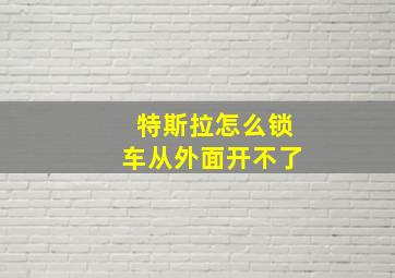 特斯拉怎么锁车从外面开不了