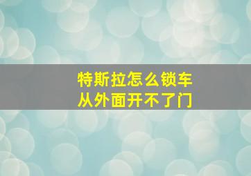 特斯拉怎么锁车从外面开不了门