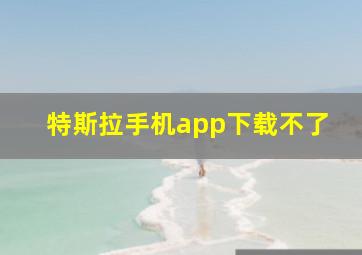 特斯拉手机app下载不了