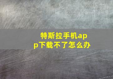 特斯拉手机app下载不了怎么办