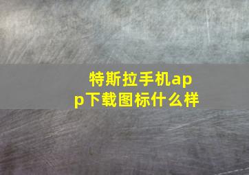 特斯拉手机app下载图标什么样