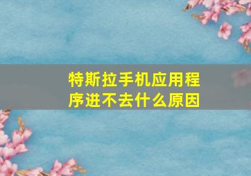 特斯拉手机应用程序进不去什么原因