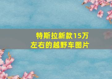 特斯拉新款15万左右的越野车图片