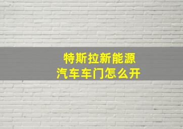 特斯拉新能源汽车车门怎么开