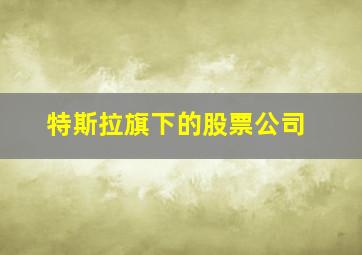 特斯拉旗下的股票公司