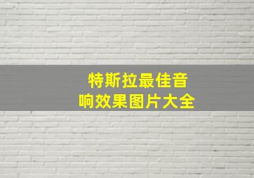 特斯拉最佳音响效果图片大全