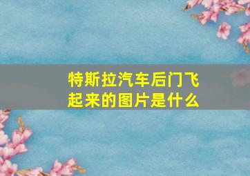 特斯拉汽车后门飞起来的图片是什么