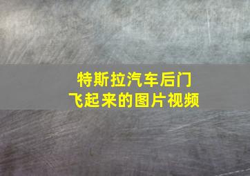 特斯拉汽车后门飞起来的图片视频