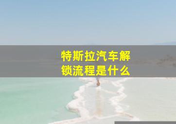 特斯拉汽车解锁流程是什么