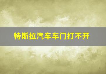 特斯拉汽车车门打不开