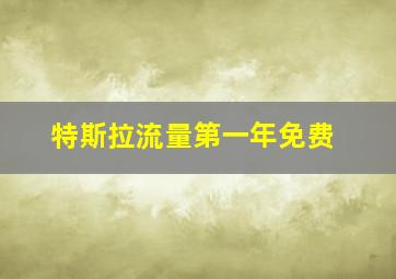 特斯拉流量第一年免费