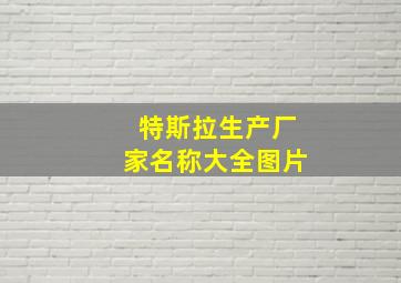 特斯拉生产厂家名称大全图片