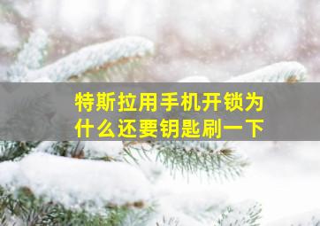 特斯拉用手机开锁为什么还要钥匙刷一下