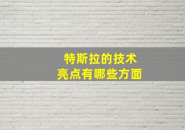 特斯拉的技术亮点有哪些方面