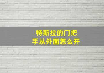 特斯拉的门把手从外面怎么开