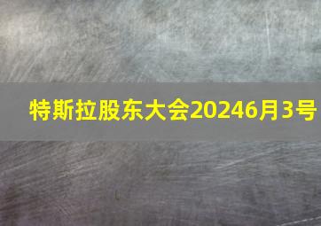 特斯拉股东大会20246月3号