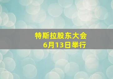 特斯拉股东大会6月13日举行