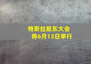 特斯拉股东大会将6月13日举行