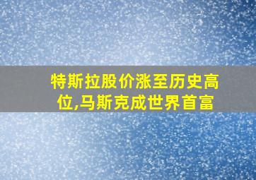 特斯拉股价涨至历史高位,马斯克成世界首富