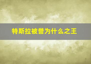 特斯拉被誉为什么之王