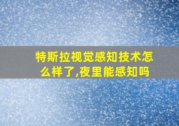 特斯拉视觉感知技术怎么样了,夜里能感知吗