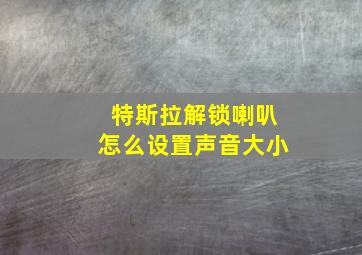 特斯拉解锁喇叭怎么设置声音大小