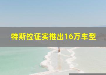 特斯拉证实推出16万车型