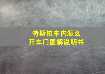 特斯拉车内怎么开车门图解说明书