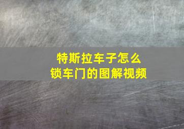 特斯拉车子怎么锁车门的图解视频