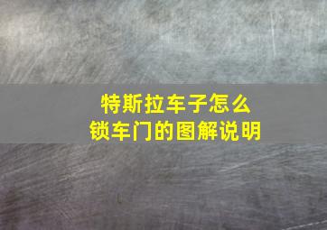 特斯拉车子怎么锁车门的图解说明