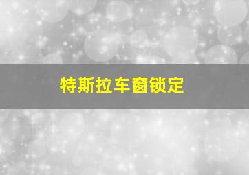 特斯拉车窗锁定