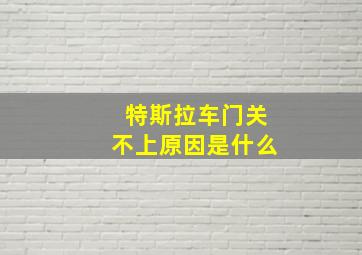 特斯拉车门关不上原因是什么