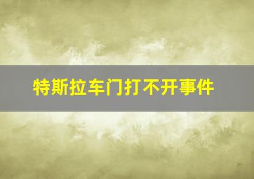 特斯拉车门打不开事件