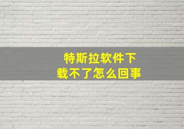 特斯拉软件下载不了怎么回事