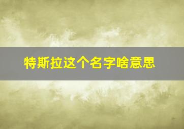 特斯拉这个名字啥意思