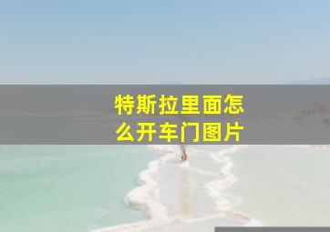 特斯拉里面怎么开车门图片