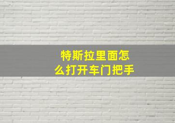 特斯拉里面怎么打开车门把手