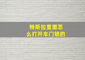 特斯拉里面怎么打开车门锁的