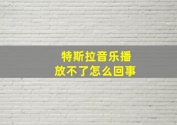 特斯拉音乐播放不了怎么回事