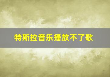 特斯拉音乐播放不了歌