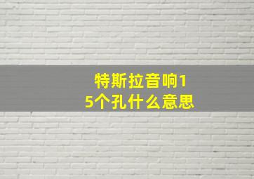 特斯拉音响15个孔什么意思