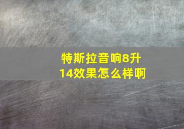 特斯拉音响8升14效果怎么样啊