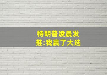 特朗普凌晨发推:我赢了大选